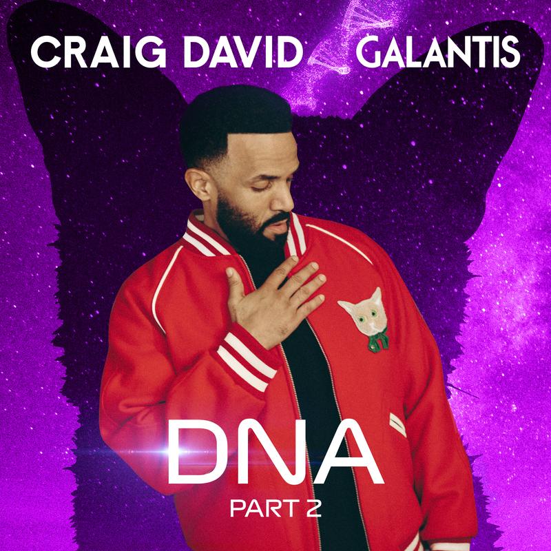 craig david《dna pt. 2 part 2》hi res级无损44.1khz24bit