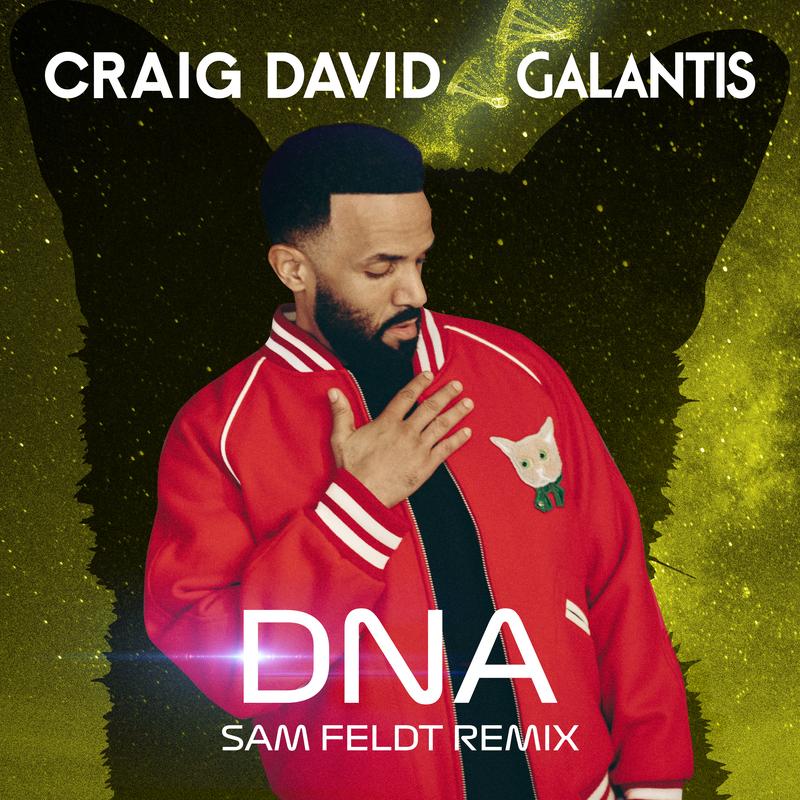 craig david《dna sam feldt remix》hi res级无损44.1khz24bit