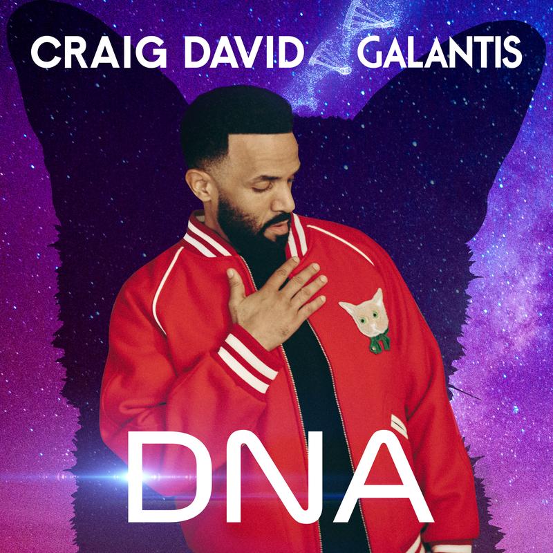 craig david《dna》hi res级无损44.1khz24bit